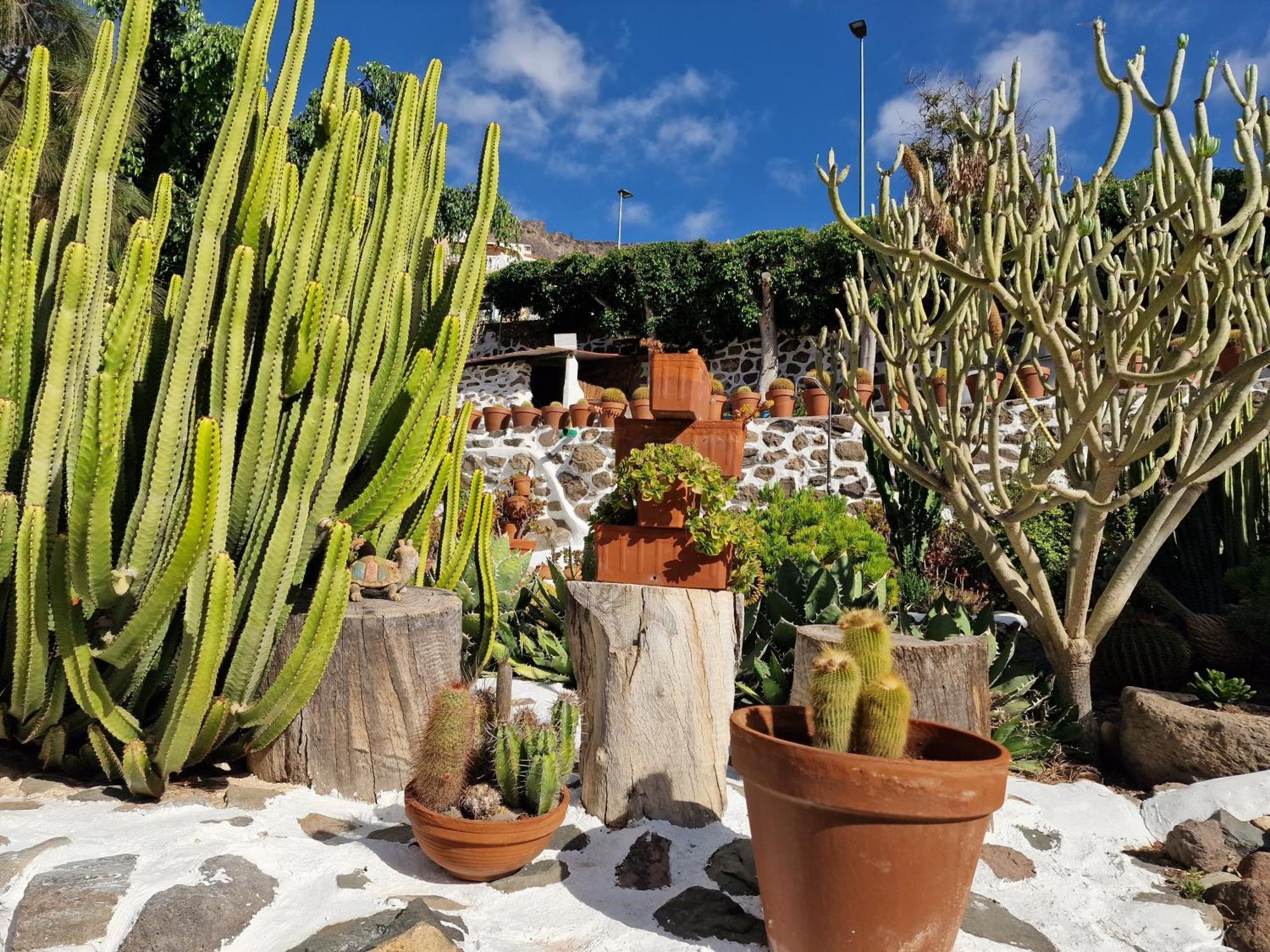 Historica Casa Con Vistas Al Jardin De Cactus Y Montanas Villa Mogán Екстериор снимка