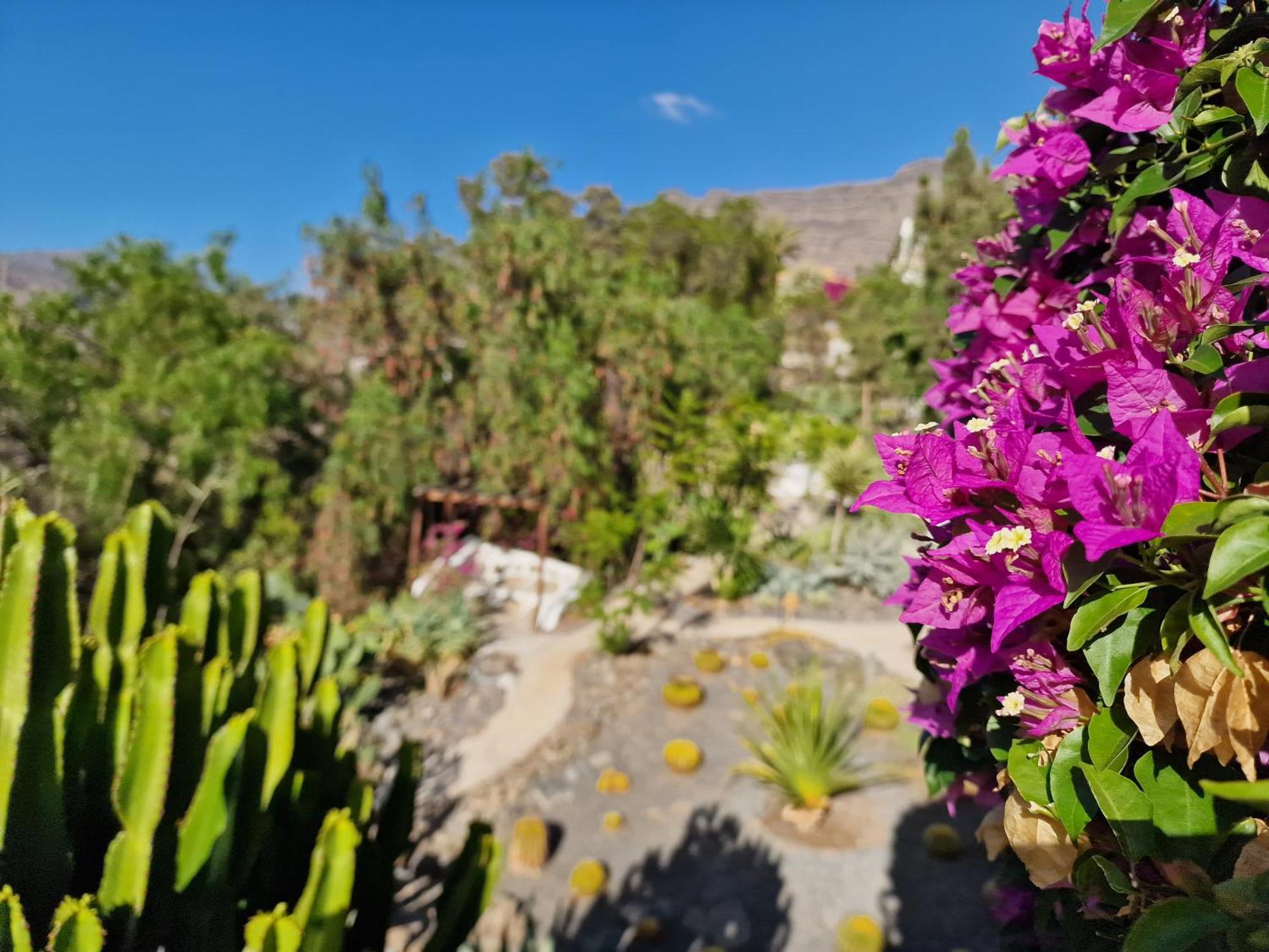 Historica Casa Con Vistas Al Jardin De Cactus Y Montanas Villa Mogán Екстериор снимка