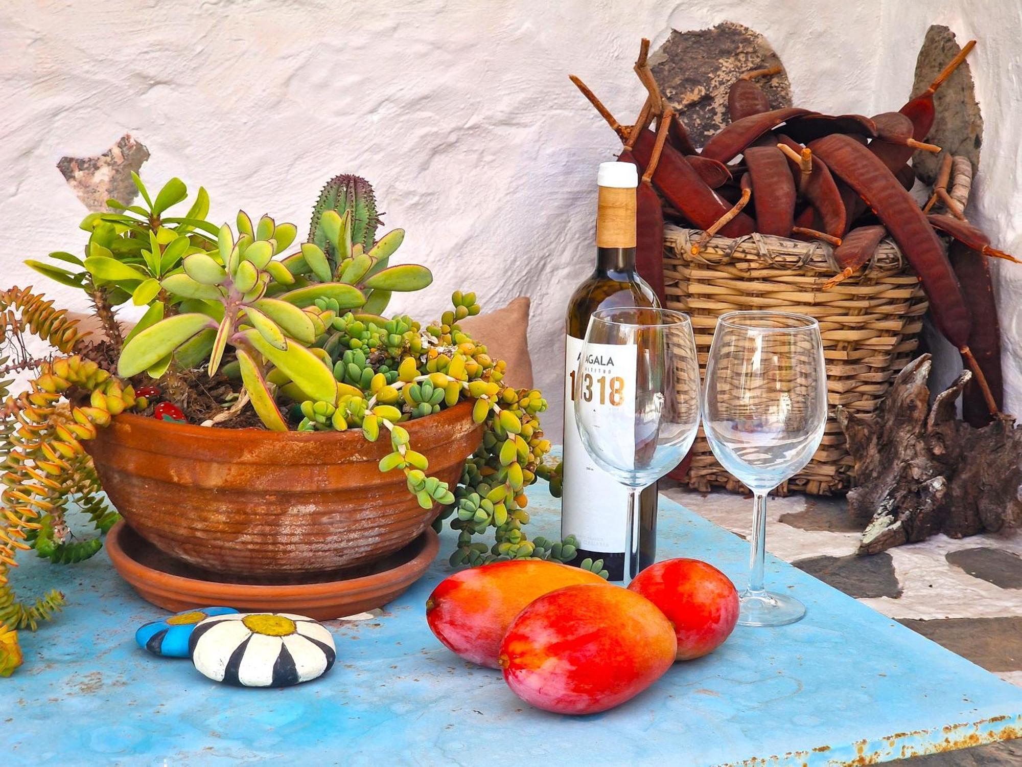 Historica Casa Con Vistas Al Jardin De Cactus Y Montanas Villa Mogán Екстериор снимка
